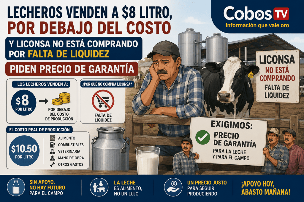 Lecheros venden leche por debajo del costo en&nbsp;Aguascalientes